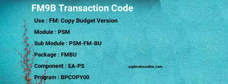 SAP FM9B transaction code