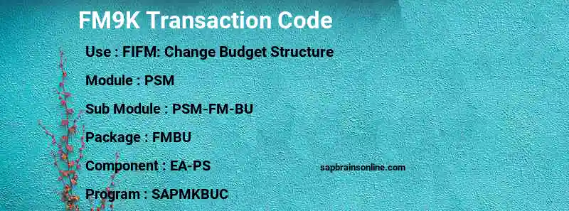 SAP FM9K transaction code