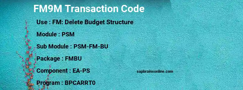 SAP FM9M transaction code