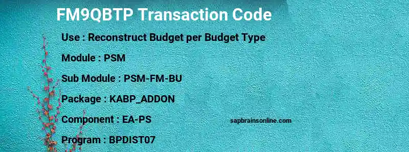 SAP FM9QBTP transaction code