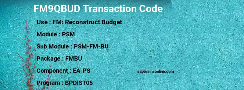 SAP FM9QBUD transaction code