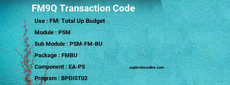 SAP FM9Q transaction code