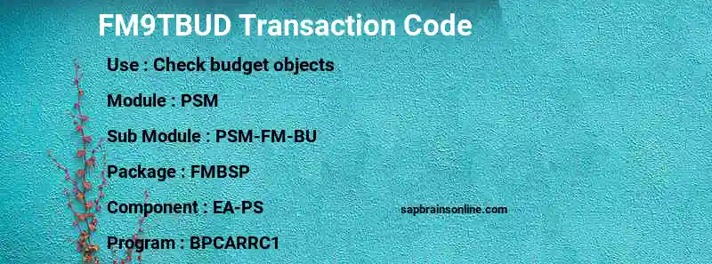 SAP FM9TBUD transaction code