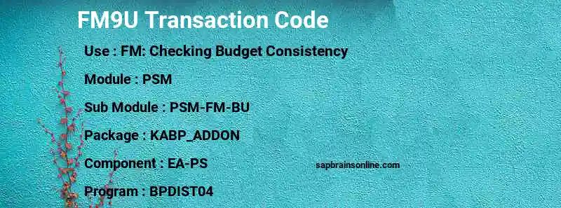 SAP FM9U transaction code