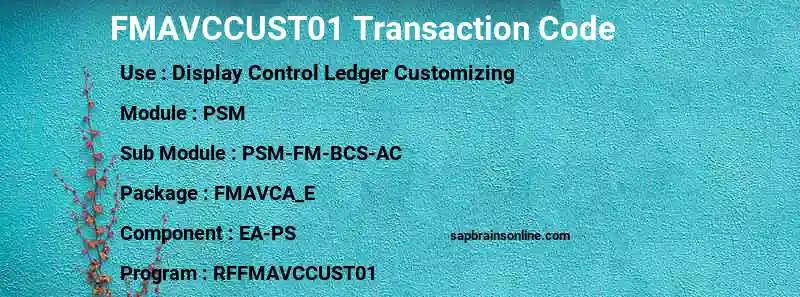 SAP FMAVCCUST01 transaction code