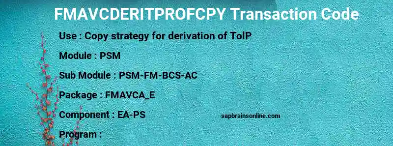 SAP FMAVCDERITPROFCPY transaction code