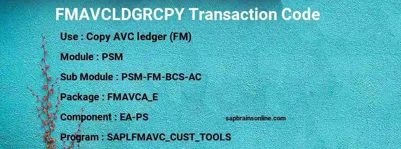 SAP FMAVCLDGRCPY transaction code