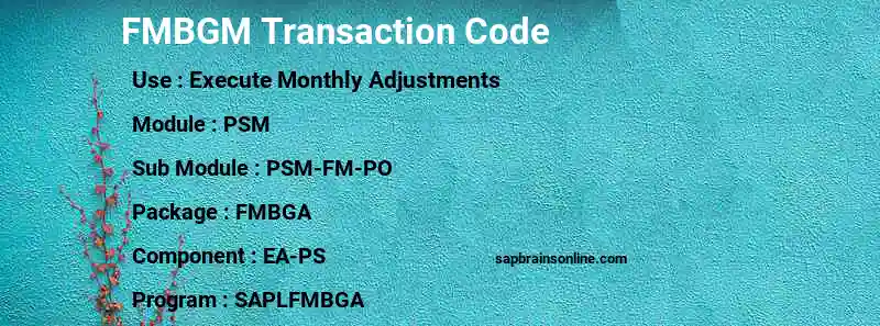 SAP FMBGM transaction code