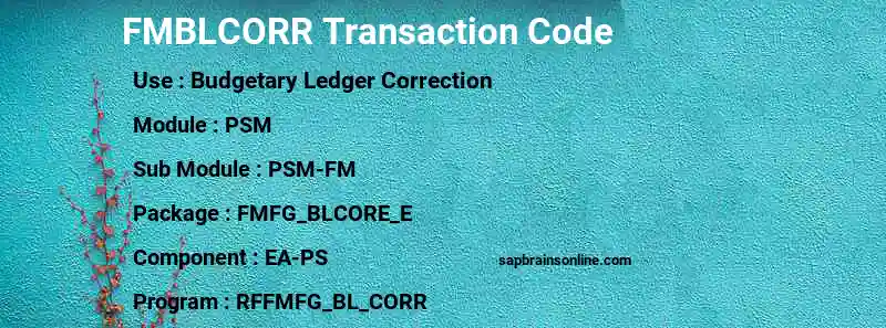 SAP FMBLCORR transaction code