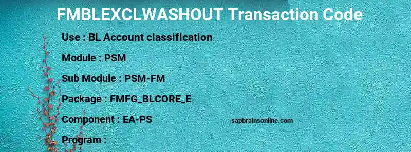 SAP FMBLEXCLWASHOUT transaction code