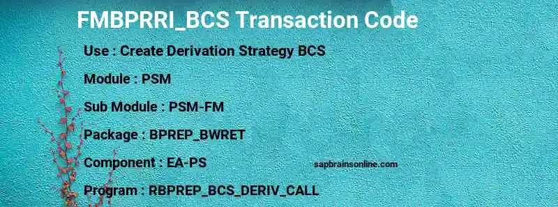 SAP FMBPRRI_BCS transaction code