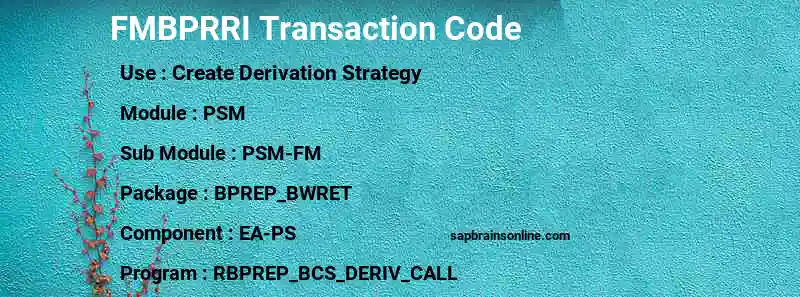 SAP FMBPRRI transaction code