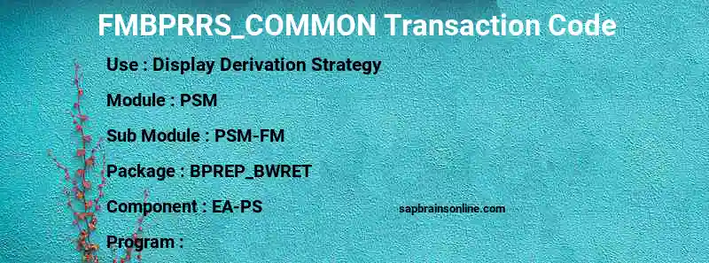 SAP FMBPRRS_COMMON transaction code