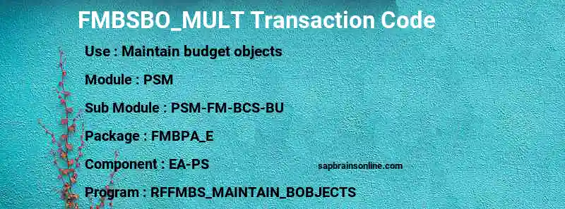 SAP FMBSBO_MULT transaction code