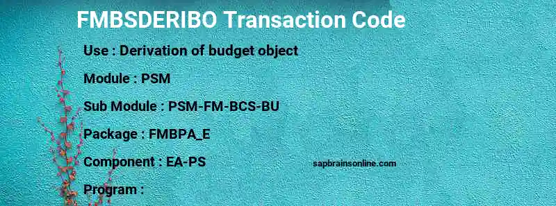 SAP FMBSDERIBO transaction code