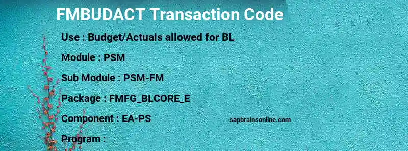 SAP FMBUDACT transaction code