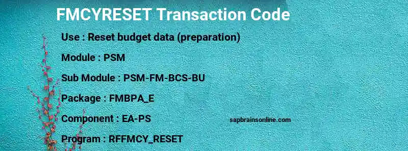 SAP FMCYRESET transaction code