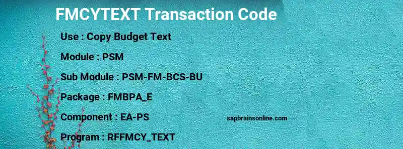 SAP FMCYTEXT transaction code