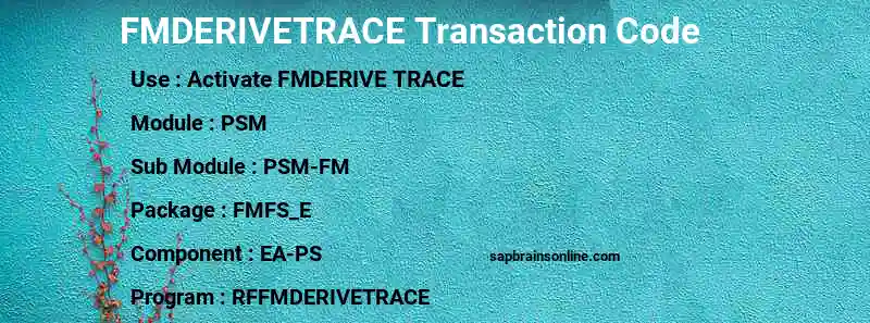 SAP FMDERIVETRACE transaction code