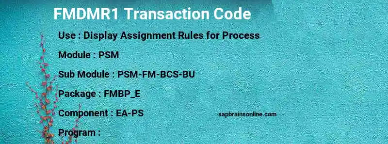 SAP FMDMR1 transaction code