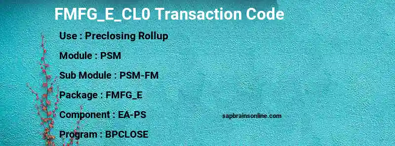 SAP FMFG_E_CL0 transaction code