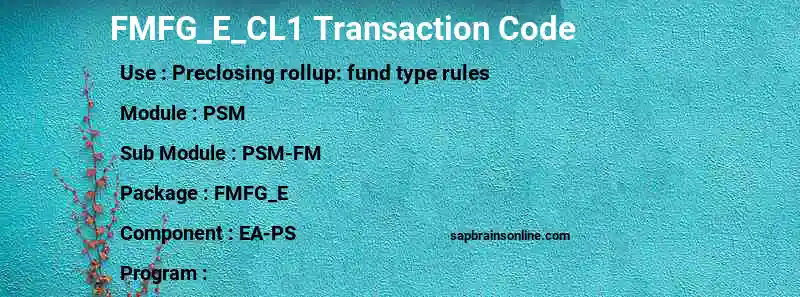 SAP FMFG_E_CL1 transaction code