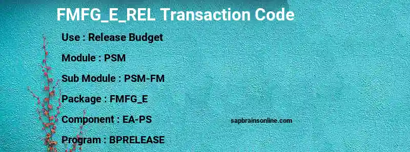 SAP FMFG_E_REL transaction code