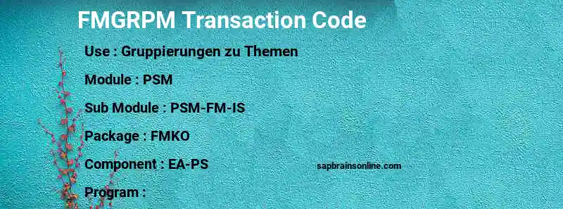 SAP FMGRPM transaction code
