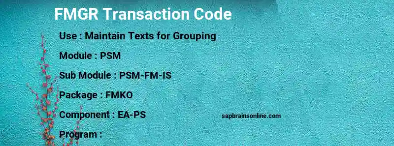 SAP FMGR transaction code