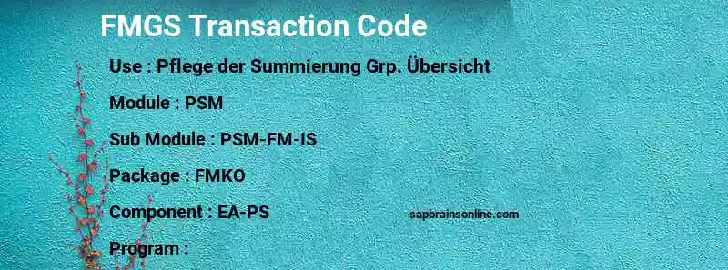 SAP FMGS transaction code