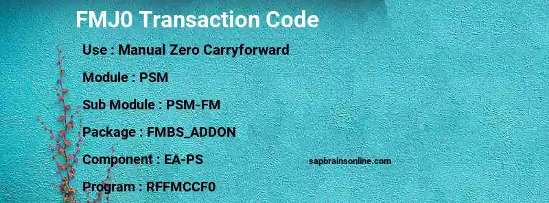 SAP FMJ0 transaction code