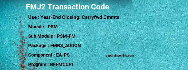 SAP FMJ2 transaction code