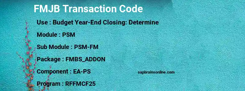 SAP FMJB transaction code