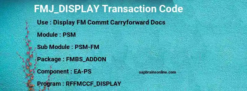 SAP FMJ_DISPLAY transaction code