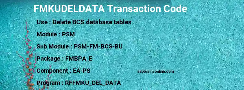 SAP FMKUDELDATA transaction code