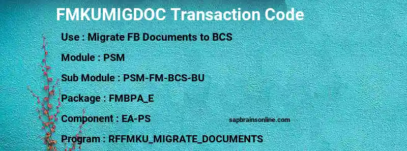 SAP FMKUMIGDOC transaction code