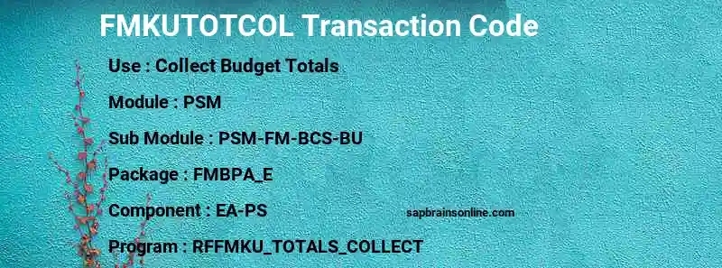 SAP FMKUTOTCOL transaction code