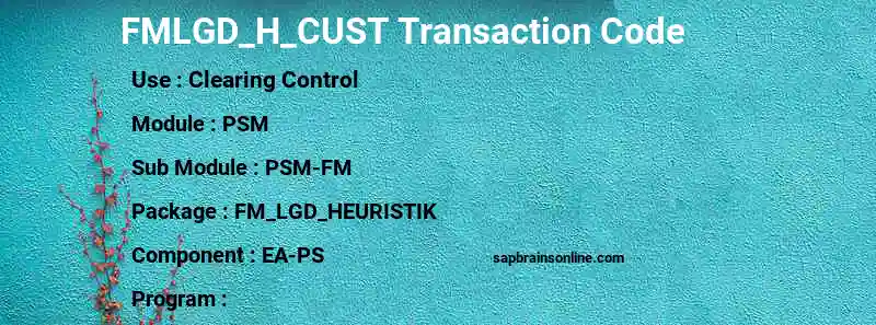 SAP FMLGD_H_CUST transaction code