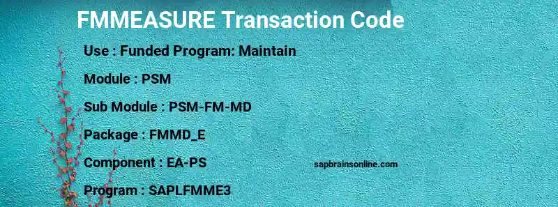 SAP FMMEASURE transaction code