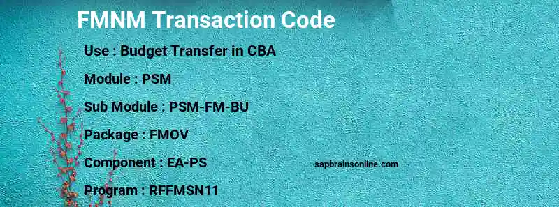 SAP FMNM transaction code