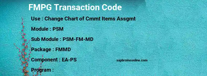 SAP FMPG transaction code