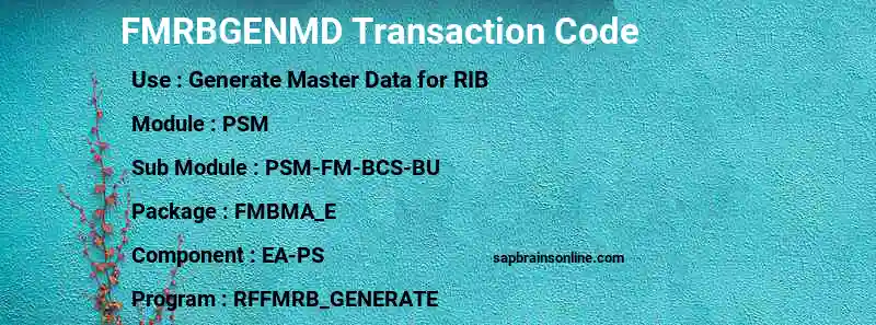 SAP FMRBGENMD transaction code