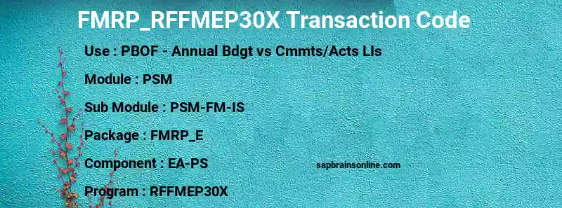 SAP FMRP_RFFMEP30X transaction code