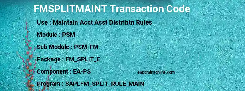 SAP FMSPLITMAINT transaction code