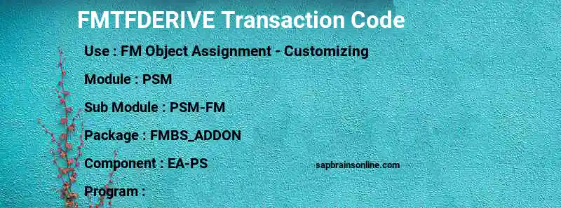 SAP FMTFDERIVE transaction code