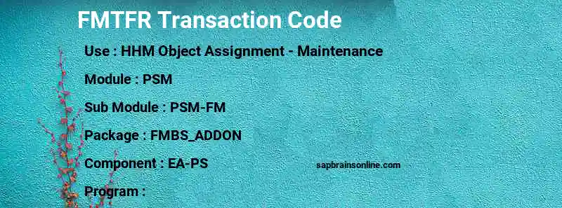 SAP FMTFR transaction code