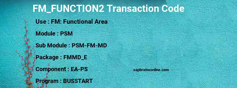 SAP FM_FUNCTION2 transaction code
