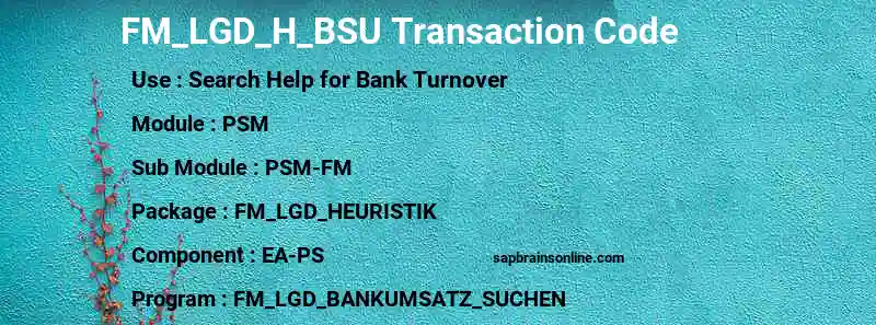 SAP FM_LGD_H_BSU transaction code