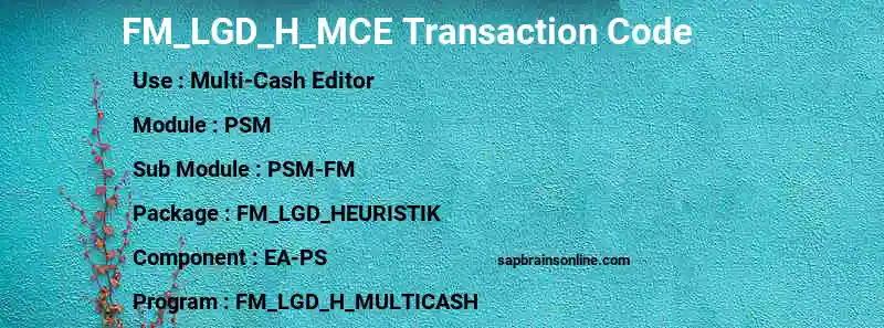 SAP FM_LGD_H_MCE transaction code
