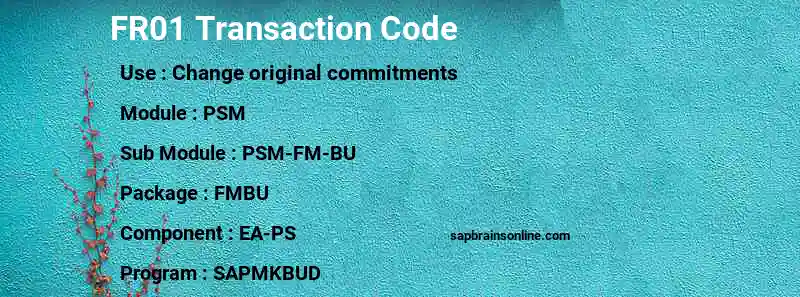SAP FR01 transaction code